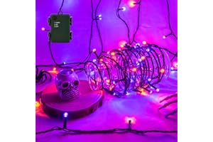 Isisyu Halloween Lichterkette Außen Batterie, 3M 30 LED Orange Lila Lichterkette Batteriebetrieben mit 6 Stunden Timer, IP65 Wasserdicht Halloween Deko für Spinnenetz, Spukhaus, Hof, Horror Party
