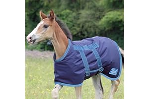 Shires Tempest Original Foal Turnout Rug - Navy/Turquiose
