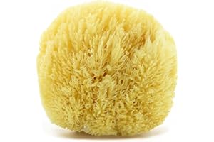 ‎TOM&PAT tom&pat Naturschwamm Grass - weicher Badeschwamm Natur aus Griechenland, für extra viel Schaum, Dermatest: Sehr gut - Duschschwamm in Premiumqualität, perfekt für sensible Haut & Babys (17-18 cm)