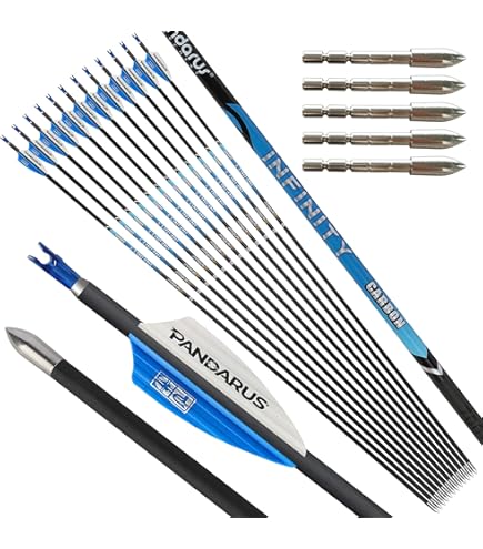 Flèches De Tir à L’arc Carbone – Spine 350 à 1000 – ID 4,2 Mm – Ailettes – Pour Arc Classique Et Longbow
