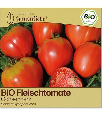 Orange mittelspte Ochsenherz Mhre 'Oxheart' (Daucus carota) Bio 500 Samen  : Amazon.de: Garten