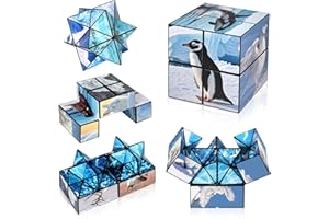 Euclidean Cube Age 3+ 2 in 1 Star Cube Set, Infinity Fidget Toy for Kids Adults, Yoshimoto Cube for Ages 8-12, Arctic/Antarctic Animals Fun Toy for Boys Girls (Polar Series)
