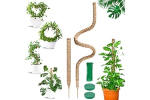 COZCLAM Monstera Trellis, Pack of 2 160 cm & 60 cm Coconut Rod Plant Stake Monstera, Moss Rod for Monstera for Indoor Climbing Plants, Trellis Aid Indoor Plants for Climbing Plants that Grow Upwards
