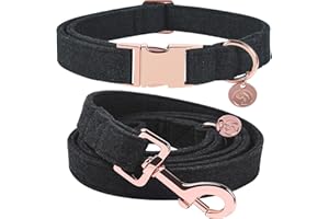 DOGWONG Hundehalsbänder Schwarz, Hundehalsbänder und Leine aus Schwarz hundehalsband, Bequeme verstellbares Hundehalsband für kleine mittelgroße Hunde