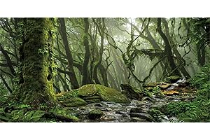 MIRRORANG 76x46cm Foggy Forest Terrarium Background Stream Green Huge Tree Reptile Habitat Background Tropical Rainforest Aquarium Background Vinyl