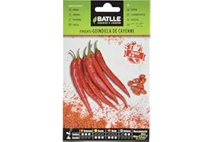 Semillas Batlle Piment DE Cayenne Rouge
