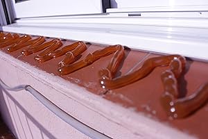 BIRD-TECH TM Gel répulsif pour oiseaux - Anti-hirondelles, pigeons, oiseaux. Très efficace.