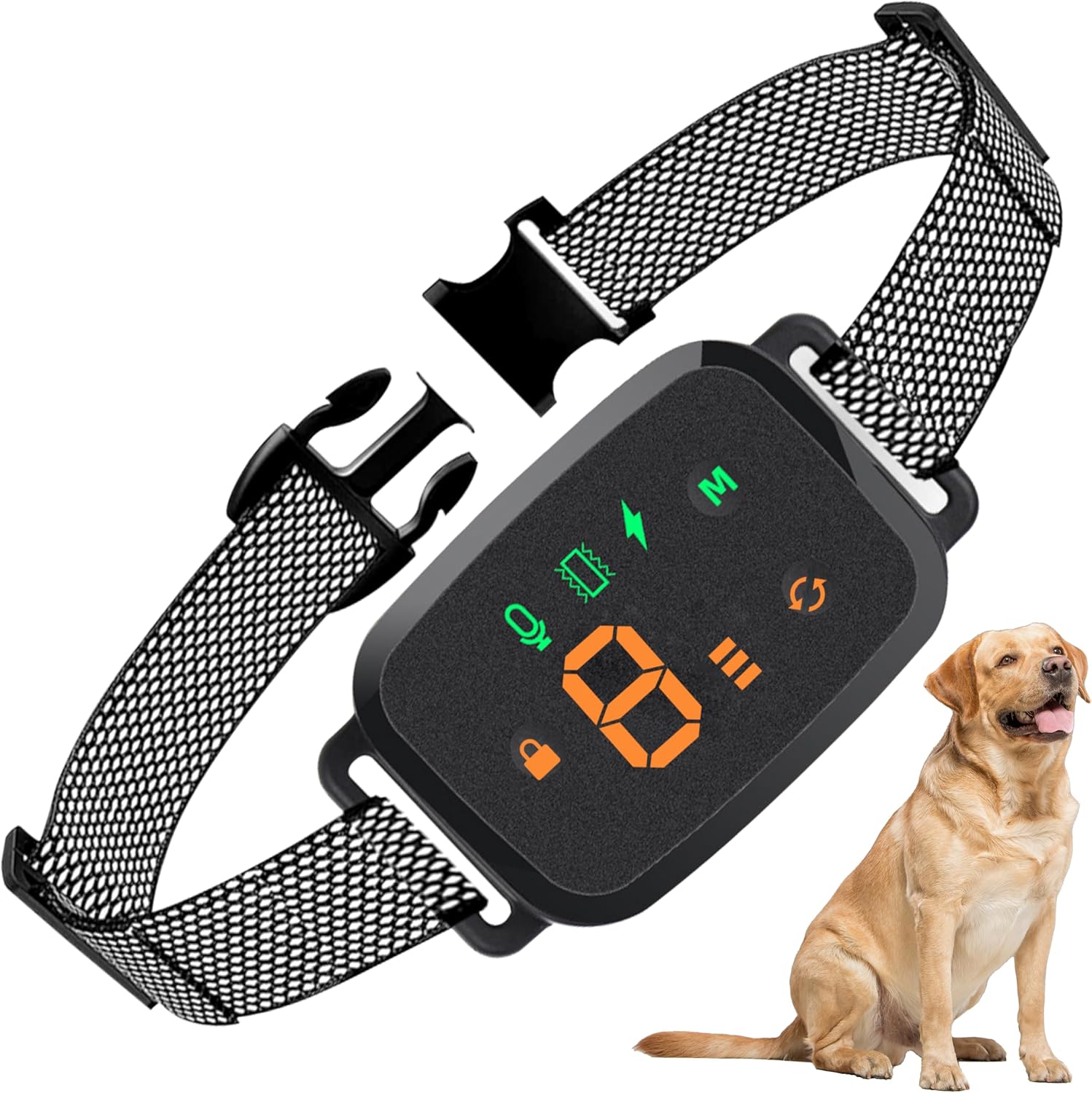 Avis d'Expert & Test Approfondi : Collier Anti Aboiement Chien 4 Modes pour Pet (Gilool)