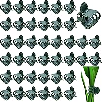 30 Bastoncini Supporto Piante - Paletti Giardinaggio 30cm Verdi, Per Fiori, Piselli E Orto - Foto 10