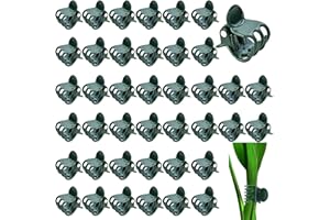 LAEEYIN 100 sztuk klipsów do roślin do storczyków, 1,5 cm, ciemnozielone klamerki do storczyków, z tworzywa sztucznego, do wspierania i trzymania roślin