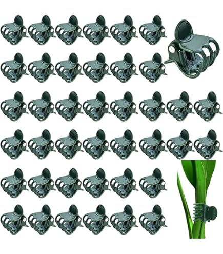 24 Stück Pflanzenstützen Aus Kunststoff - 4 Größen Für Rosen, Tomaten & Stauden