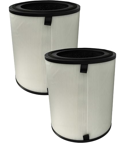 NXBHG – 2 Filtri Di Ricambio Compatibili Con LEVOIT LV-H133 – 3 In 1 Con Carboni Attivi – Sostituisce LV-H133-RF – Cattura 99,9% Particelle