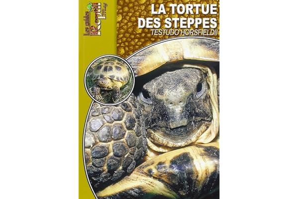 La Tortue des Steppes: Testudo Horsfieldii