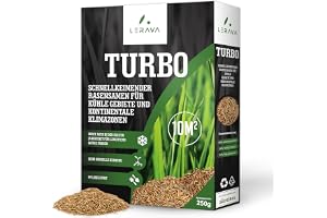 LERAVA TURBO gräsfrön (10m²) - snabbväxande gräsfrö - För skugga & kalla områden - Ljusgrön färg - Tåligt gräsfrö för översåd