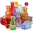 DEAYOU 10-Pack Glass Bud Vases, Small Clear Flower Vase for Centerpiece, Mini Vintage Bottle, Colorful Living Single Bud, Petite Table Floral for Plants, Home Wedding Decor, Gift