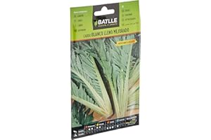 Semillas Batlle Cardo Bianco Pieno Migliorato