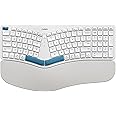 Nulea RT05B Wireless Ergonomic Keyboard, Split Keyboard with Cushioned Wrist Rest, Bluetooth and USB Connectivity, USB-C Rechargeable White Blue