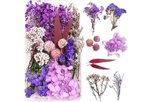 DOG'S BOOTY Flores Secas Naturales para Resina, Manualidades DIY, Joyería, Vela, Arte de Uñas, Artesanía, Scrapbooking y Decoración Floral (Morado y Rojo)