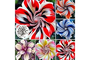 REMORUI 500 Stück Hibiskus Samen, Samen des Hibiskus, Pflegeleicht & Winterhart Blumensamen, Balkonpflanzen für Sichtschutz, Blumenwand und Terrasse​, Ideale Garten Pflanzen, Balkon Pflanzen (Mischfarbe)