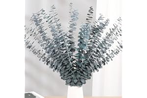 BEST ZOIKOM 20 Pcs Eucalipto Preservado Naturales Flores Secas de 43cm, Planta de Eucalipto Verde Fresco Natural Hecha de Ramas de Hojas de eucalipto Reales para Decoración de Casas, Fiestas (Blue)
