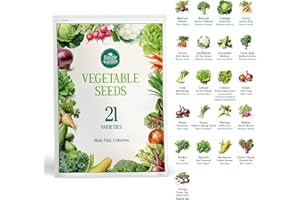 Simply Garden Vegetable Bumper Pack - for Planting Now - Grow Your Own Kit - Contains 21 Varieties of Vegetables - Over 1500 Seeds – Beetroot, Carrot, Cucumber, Lettuce Onions etc - Gift for All