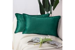 MADIZZ Set med 2 Supermjuka Sammets dekorativa kuddfodral med fransar i lyxstil Kuddfodral Kuddskal för soffa sovrum 30 x 50
