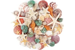 DASKID Mixed Ocean Sea Shells with Natural Starfish +70Pcs (3–9CM) – Assorted Beach Seashells for Vase Fillers, DIY Crafts, Wedding & Home Decorations, Fish Tank & Beach-Themed Party Decor