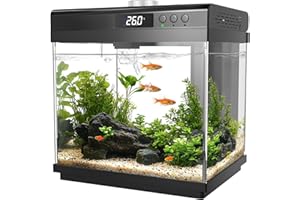 AQQA 14L Aquarium Starter Kits,Small Glass Fish Tank with Filter and LED Light,10 Colors Adjustable Nano Aquarium Tank,Self Cleaning Tropical Fish Tank Kit,for Betta Shrimp Goldfish