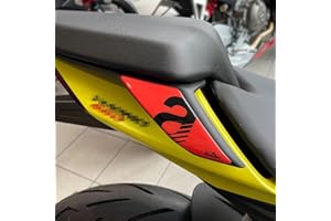 Resin Bike Motorcycle 3D Stickers Compatible with Aprilia Tuono-RS 660 2020-2023. Rear Passenger Handles Protections from Impact and Scratches. Resin Stickers - Gadget Moto