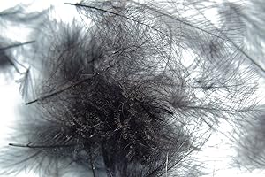 HARELINE DUBBIN Pechetruite 1g - CDC (Cul de Canard) Federn - SCHWARZ/Black - für Fliegenbinden