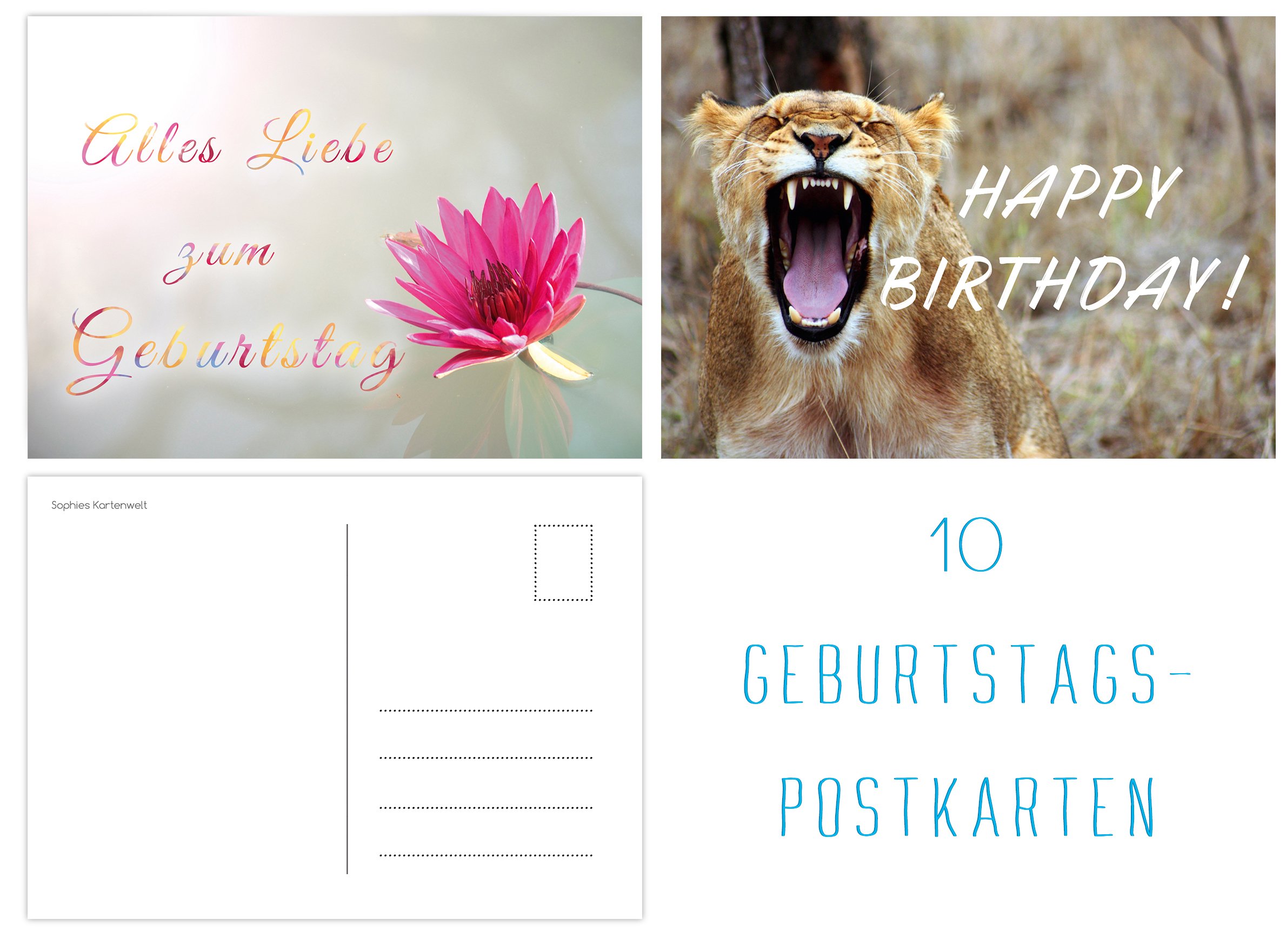 20er Postkarten Set mit 20 Sprüchen & Zitaten UV