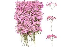 JWOGNGLS 100 sztuk suszonych kwiatów gipsy, różowe, suszone kwiaty do majsterkowania, suszone kwiaty, małe do ramek na zdjęcia, zakładek, kartek z życzeniami (różowe)
