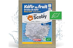 ORISAE Grains de kéfir d'eau frais certifiés BIO - réutilisables à l'infini - contrôlés et fabriqués en France (Nature, 30g)