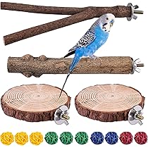 Set 3 Posatoi Per Pappagalli - Legno Naturale Per Rosicchiare E Limare Artigli, Con Viti Per Gabbia - Foto 13