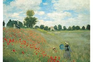 AVEJOYS Puzzles pour Adultes 1000 pièces Coquelicots à Argenteuil de Claude Monet 70 x 50 cm Puzzles pour Adultes Jeu éducatif Challenge Toy 1000 pièces Puzzles pour Adultes Enfants