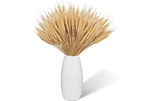AUFISI 100 Piezas de Trigo seco Flores secas Cereales Cereales de Cultivo Flores secas 43cm Trigo seco Hazel Naturales de Hierba de Trigo Decoraciones