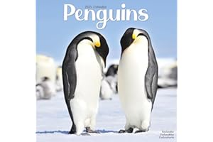 Penguins – Pinguine 2025 – 16-Monatskalender: Original Avonside-Kalender [Mehrsprachig] [Kalender] (Wall-Kalender)