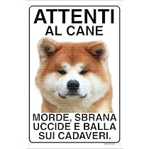 AKITA INU Attenti al cane morde sbrana uccide e balla sui cadaveri ...