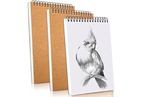 LANYOTA Zeichenblock A5 Skizzenbuch, 3 Stück 160GSM Zeichenbuch mit Spiralgebundenes, 60 Seiten Sketch Papier, Hartfaserplatte Säurefreies für Zeichnen,Skizzen,Malerei, Notizen, Graffiti (3 Stück, A5)