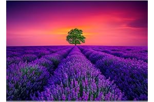 MOJIGE Jigsaw Puzzles for Adults 1000, Puzzles for Adults, Challenging Puzzles, Puzzle Game for The Whole for Women, Gifts for Men, Theme:Provence Lavender