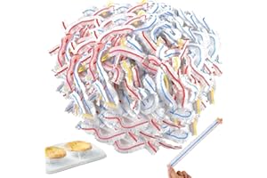 AGOGUE 400 Stück Frischhaltebeutel Set, Frischhaltefolie Einfach Zu Bedienen, Frischhaltefolie Mit Gummizug Menge Ausreichend für Den Täglichen Gebrauch, und Breite Anwendungsbereiche