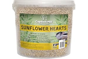Copdock Mill Sunflower Hearts Bird Food 3.2kg / 5L Tub – No Mess Sunflower Hearts for Wild Birds – Bird Seed Suitable for Sunflower Seeds Feeders & Bird Tables