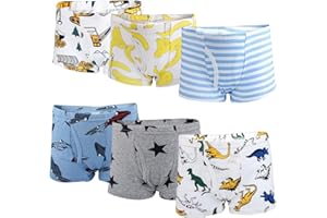 AOLSTECELL FLYISH Direct Boxer Enfant Garçon, sous-Vêtements Garçon, Boxer Garçon Boxer Slip Garçon en Coton, Lot de 6, Multicolore