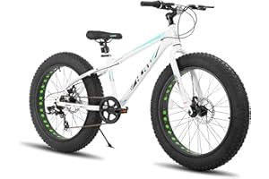 HH HILAND HILAND 24/26 Inch Fat Tire Mountain Bike, 7 Speed Mountain Bike for Boys and Girls, Double Disc Brake, Beach And Snow Bike for Youth Men Women
