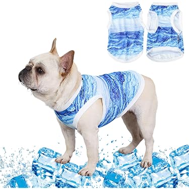 Amazon.de Bestseller: Die beliebtesten Artikel in Winterjacken &  Wintermntel fr Hunde