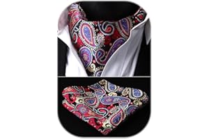 HISDERN Ascot Hombre Paisley Floral Pañuelos Boda Elegante Conjuntos de Corbatas Clásico para Fiesta Business