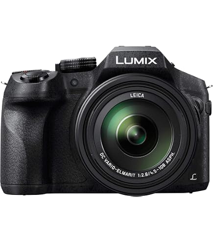 Panasonic Lumix DMC-FZ300 (12.1MP, 24x Optical Zoom, 3