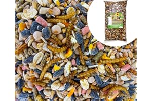 UGF UNDERGROUND FOOD UGF - Nourriture pour oiseaux sauvages - 800 g, graines de tournesol et vers de farine