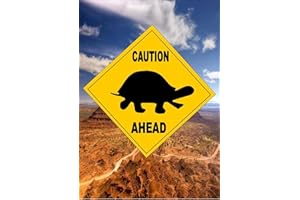 EpochSign Plaque en métal de Style Australien, Panneau de signalisation avec Tortue, 30,5 x 30,5 cm