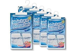 HUIFENGJIE Kleiderschrank Feuchtigkeitsabsorber 5 Pack x 100g, Hänge Luftentfeuchter mit Duft, Moistureproof Desiccant Bag, Waschräume, gegen Feuchtigkeit Anti-Schimmel Desodorierende Trockenmittel-Tasche